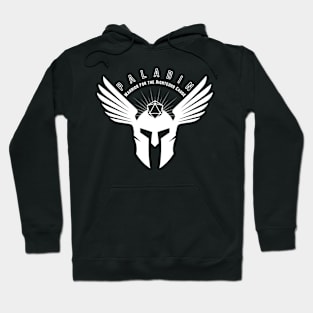 Paladin Dark Hoodie